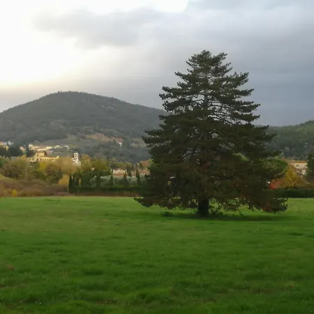 Open Space Nel Parco Con Parcheggio Gratuito Lejlighed *